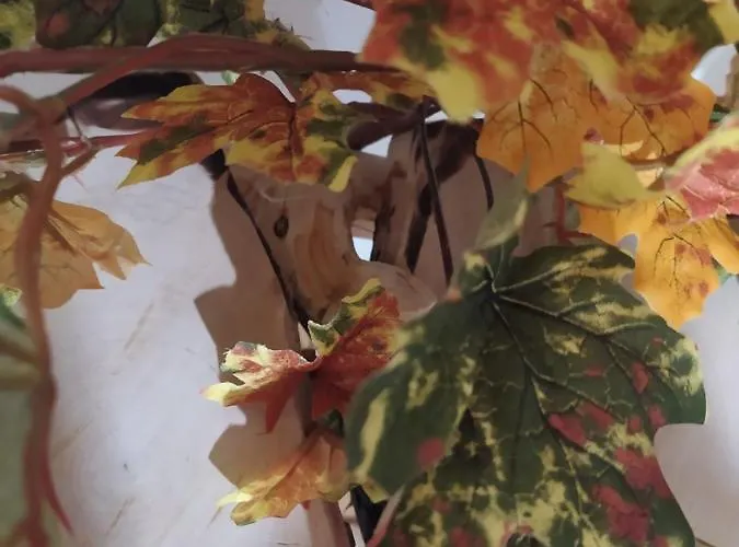 Casa Pozas 2 Willa Monforte De Lemos